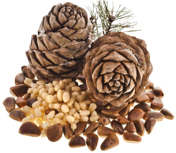 Pine nuts, the use of which helps to solve potency problems