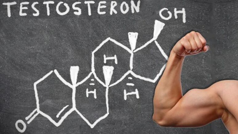 Testosterone is the primary male sex hormone